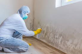 Best Real Estate Mold Inspection  in Mountain Home, NC